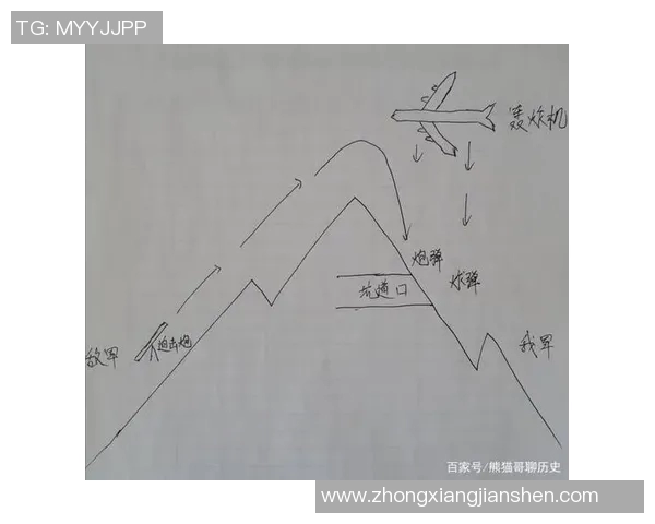 上海排球队防反战术解析与战绩提升的深度剖析